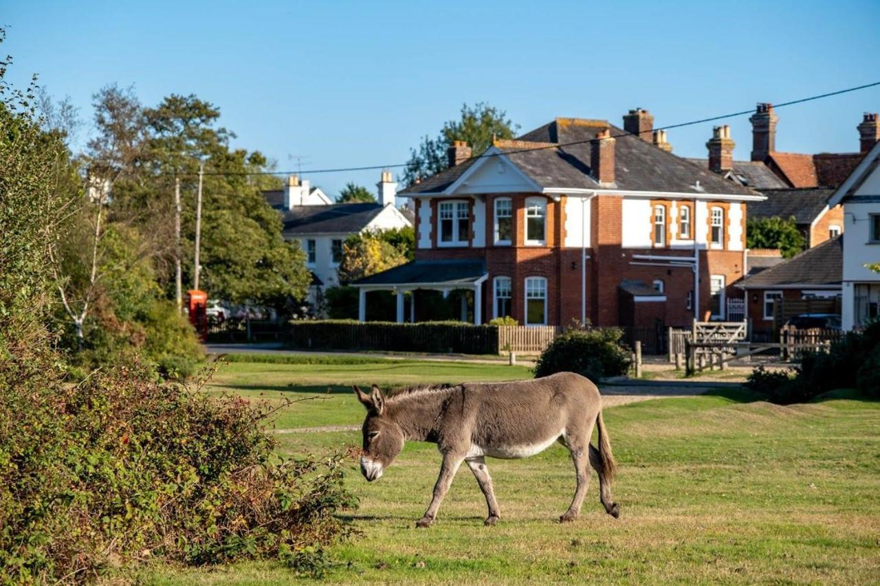 Surrey Lodge Brockenhurst Extérieur photo
